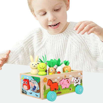 Skills Game Wooden Toys for Toddlers